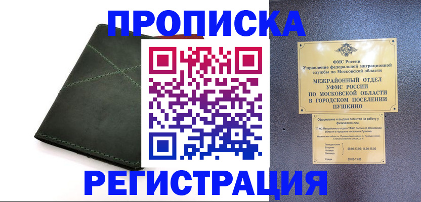 прописка в квартире в Электроуглях